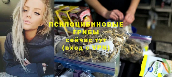 мяу мяу мука Богданович