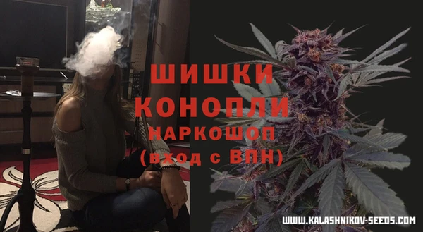мяу мяу мука Богданович