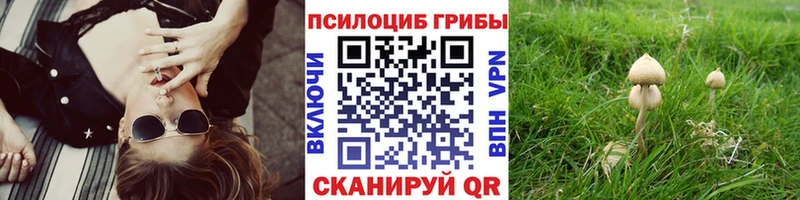 Псилоцибиновые грибы GOLDEN TEACHER  Павловск 